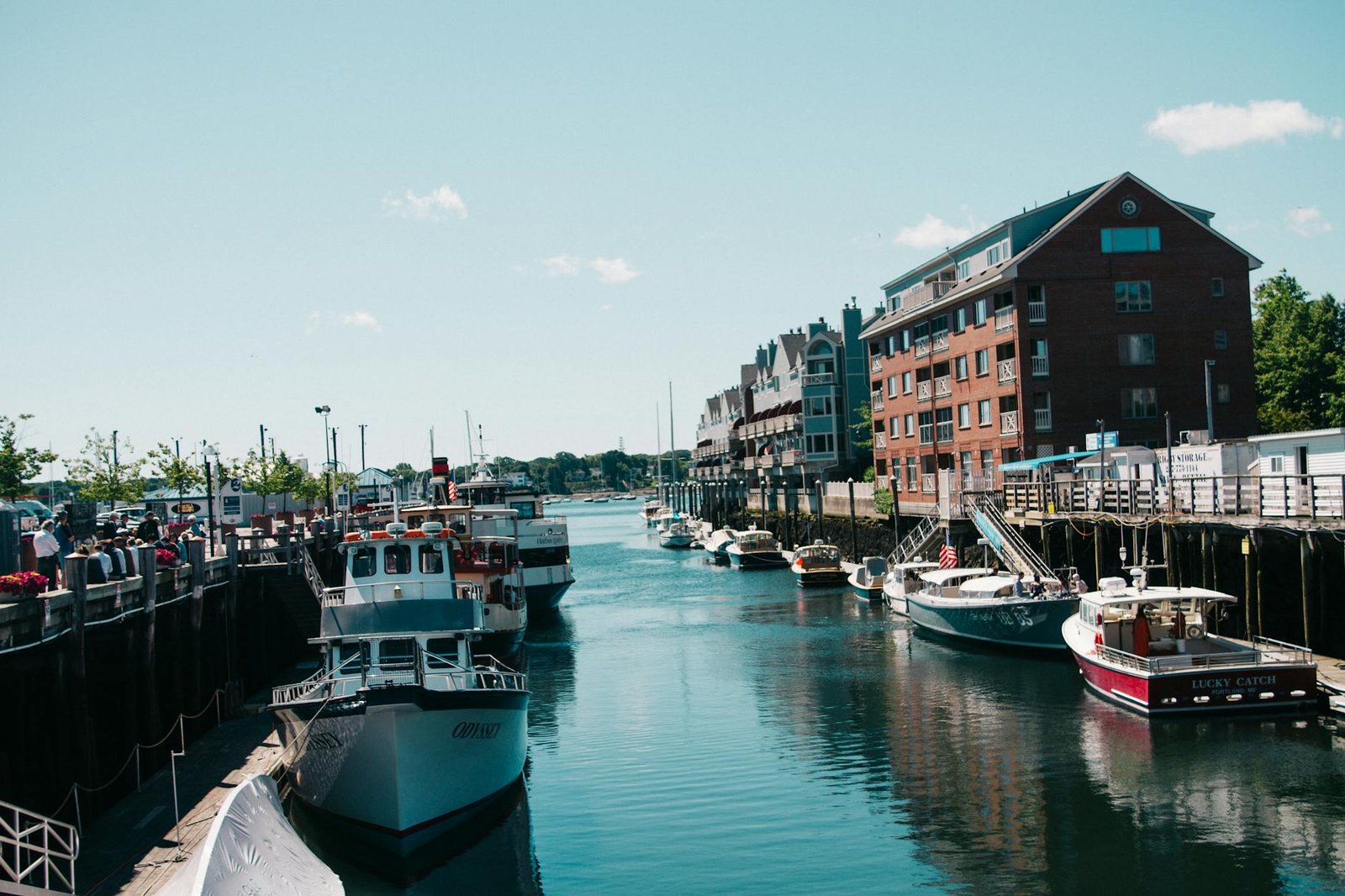 charming harbor scene with boats and buildings in Bar Harbor Maine