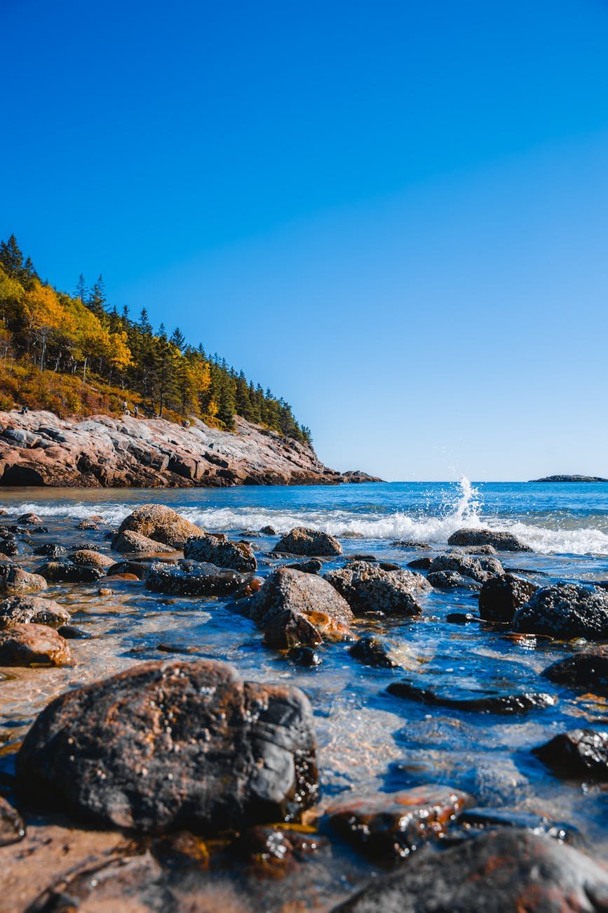 scenic coastal view of Acadia National Park, Maine