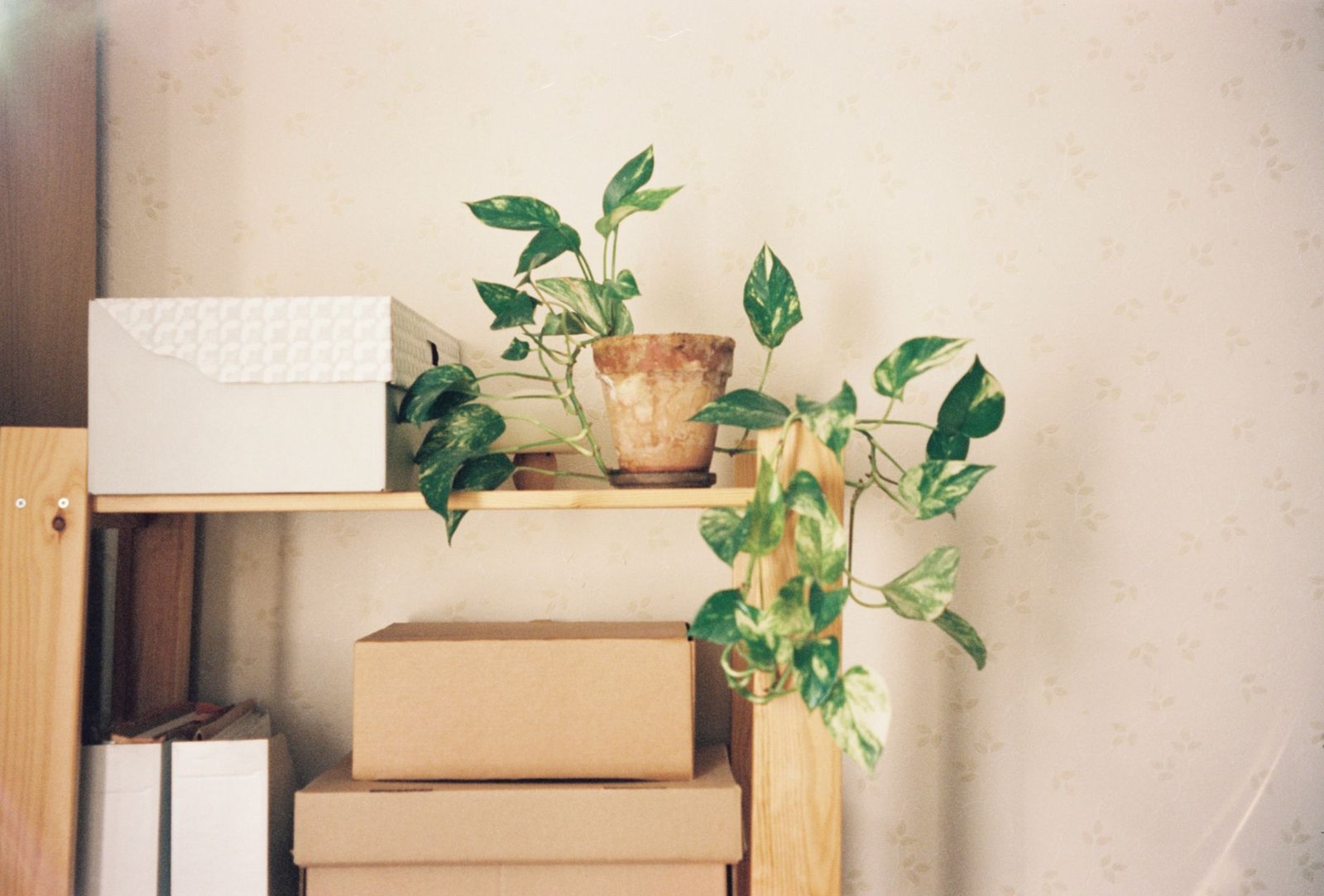 Everyday Sustainability: Easy Habits for a Greener Life
